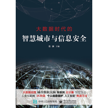 大數據時代的智慧城市與信息安全 pdf epub mobi 下载