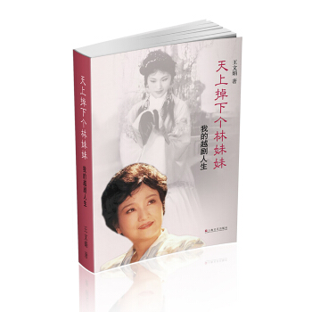 天上掉下个林妹妹：我的越剧人生 pdf epub mobi 下载