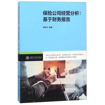 保险公司经营分析：基于财务报告 pdf epub mobi 下载