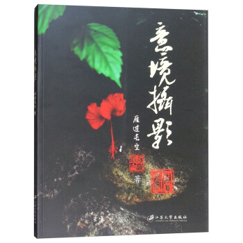 意境摄影 pdf epub mobi 下载