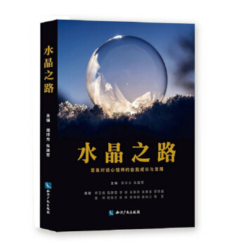 水晶之路：意象对话心理师的自我成长与发展 pdf epub mobi 下载