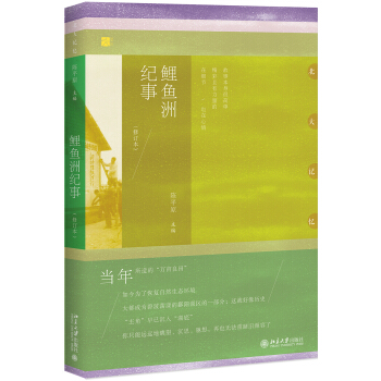 鯉魚洲紀事（修訂本） pdf epub mobi 下载