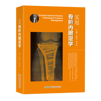 实用骨折内固定学 pdf epub mobi 下载