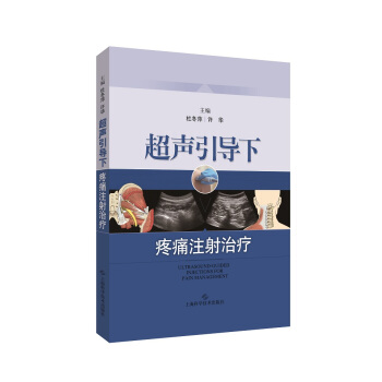 超聲引導下疼痛注射治療 pdf epub mobi 下载