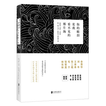 你的眼泪是我看不见的那片海 pdf epub mobi 下载