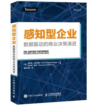 感知型企业 数据驱动的商业决策演进 pdf epub mobi 下载