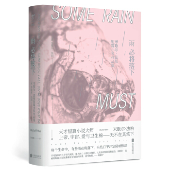 雨必将落下 [SOME RIAN MUST FALL] pdf epub mobi 下载