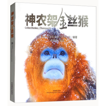 神农架金丝猴 pdf epub mobi 下载