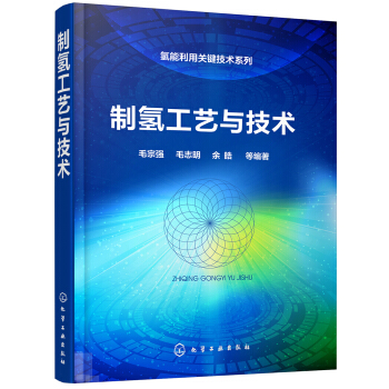 氫能利用關鍵技術係列--製氫工藝與技術 pdf epub mobi 下载