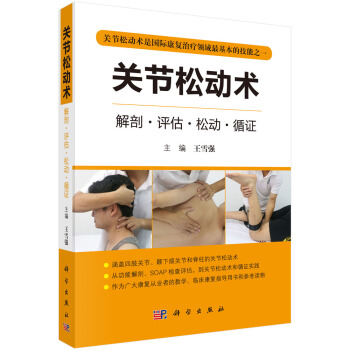 关节松动术 pdf epub mobi 下载