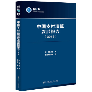中國支付清算發展報告(2018)