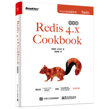 Redis 4.x Cookbook中文版 pdf epub mobi 下载