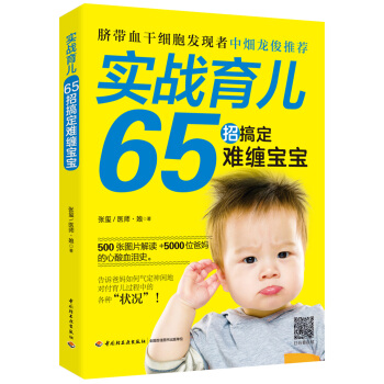 实战育儿 pdf epub mobi 下载