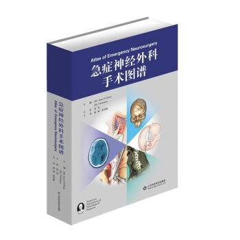 急癥神經外科手術圖譜 pdf epub mobi 下载