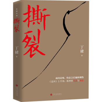 撕裂 pdf epub mobi 下载