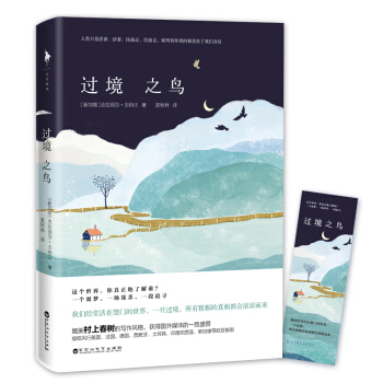 过境之鸟 pdf epub mobi 下载