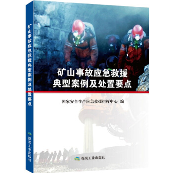 礦山事故應急救援典型案例及處置要點 pdf epub mobi 下载
