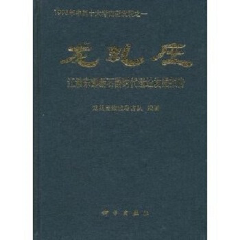 龍虯莊：江淮東部新石器時代遺址發掘報告（精） pdf epub mobi 下载