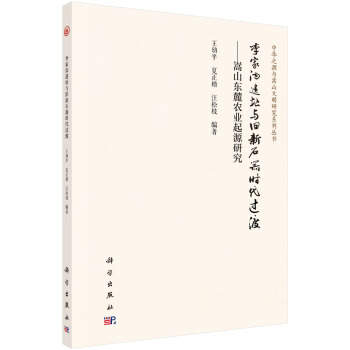 李家沟遗址与旧新石器时代过渡——嵩山东麓农业起源研究 pdf epub mobi 下载
