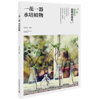 一花一器 水培植物