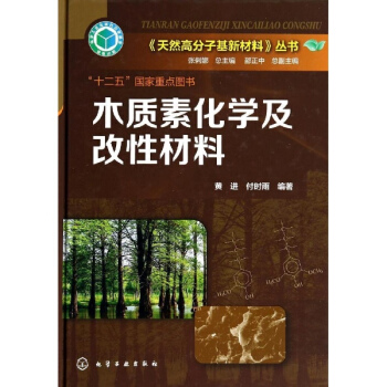木質素化學及改性材料 pdf epub mobi 電子書 下載