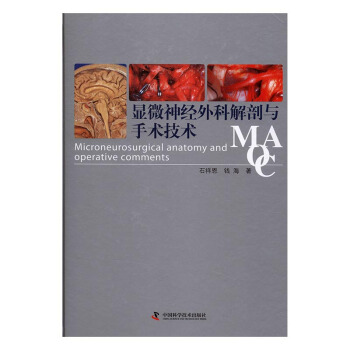 顯微神經外科解剖與手術技術 醫學 書籍 pdf epub mobi 電子書 下載