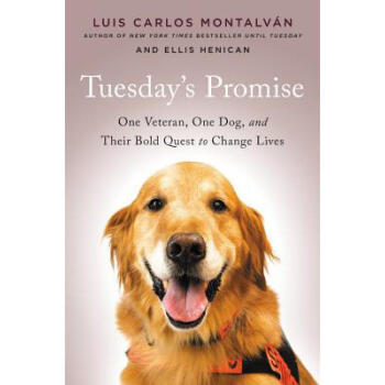 Tuesday's Promise: One Veteran, One Dog, a...
