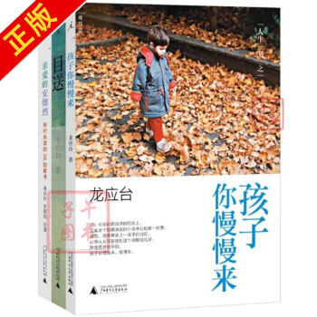 龍應颱人生三書全3冊套裝 孩子你慢慢來+愛的安德烈+目送 龍應颱 文學 書籍 pdf epub mobi 下载