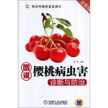 圖說櫻桃病蟲害診斷與防治(全彩版) pdf epub mobi 下载