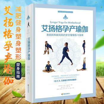 艾扬格孕产瑜伽 女性孕前准备 孕期全程以及产后修复的瑜伽练习手册 初学者零基础减肥健身塑身 pdf epub mobi 电子书 下载