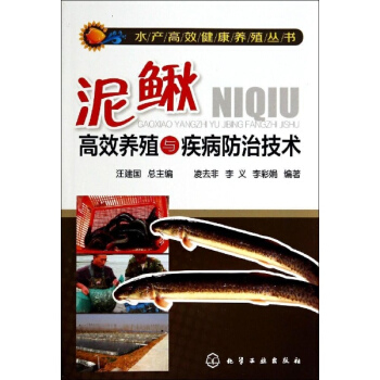 泥鳅高效养殖与疾病防治技术 pdf epub mobi 下载