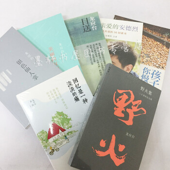 龍應颱作品全集7冊：銀色仙人掌+美麗的權力+目送+野火集+親愛的安德烈新版+孩子你慢慢來等 理想國 pdf epub mobi 下载