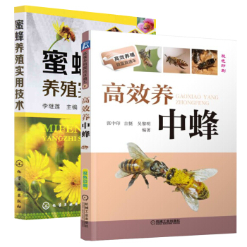 高效养中蜂+蜜蜂养殖实用技术 双色印刷 高效养蜂技术大全书籍 养殖蜜蜂指南 良种繁殖 蜂病