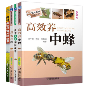圖說蜜蜂養殖關鍵技術+高效養蜂+高效養中蜂+高效養蜂你問我答 蜂飼養管理參考書 蜂病防治 pdf epub mobi 電子書 下載