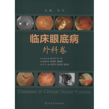 臨床眼底病外科捲 pdf epub mobi 下载