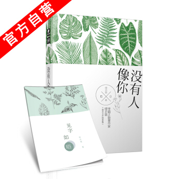 【官方自营 】正版现货 没有人像你 绿亦歌*著 文艺故事集 爱情 爱格小说青春文学 pdf epub mobi 电子书 下载