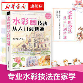 水彩畫技法從入門到精通 飛樂鳥圖書工作室 水彩畫入門 適用技能書籍 pdf epub mobi 下载