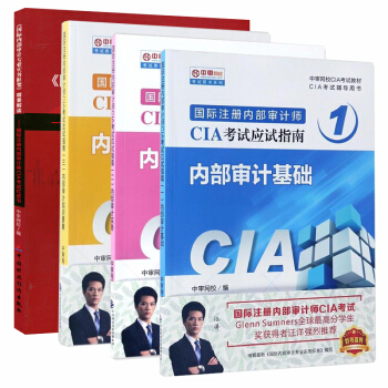 2018年国际注册内部审计师CIA考试应试指南+精要解读全4本基础+实务+知识要素+精要解读 pdf epub mobi 下载