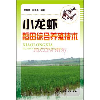 小龙虾稻田综合养殖技术 图说稻田养小龙虾技术 小龙虾高效养殖 稻虾连作种养技术 新华书店官方正版书籍
