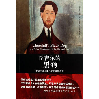 丘吉爾的黑狗(憂鬱癥及人類心靈的其他現象) pdf epub mobi 下载