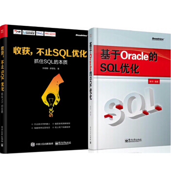 包邮 收获，不止SQL优化——抓住SQL的本质+基于Oracle的SQL优化 2本 pdf epub mobi 下载