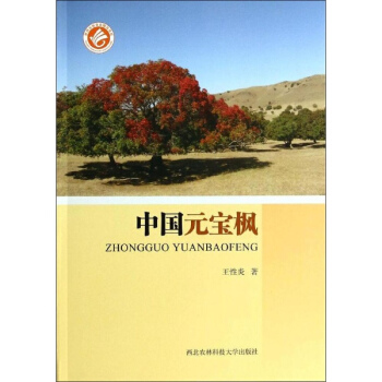 中国元宝枫 pdf epub mobi 下载