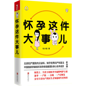 正版现货 怀孕这件大事儿 杜小溪著 科学备孕完全解密 让娃有备而来 pdf epub mobi 电子书 下载