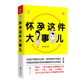 怀孕这件大事儿 杜小溪著 科学备孕完全解密 让娃有备而来 pdf epub mobi 电子书 下载