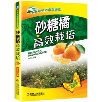 橘子种植技术 砂糖橘高效栽培 橘子高产书籍 橘子种植书籍 pdf epub mobi 下载