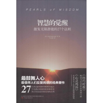 智慧的覺醒 pdf epub mobi 下载