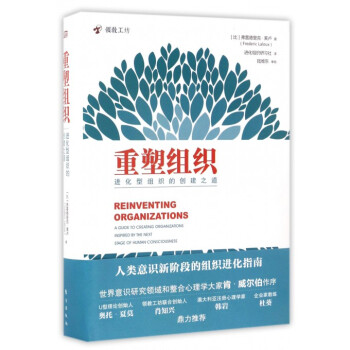 重塑組織(進化型組織的創建之道)(精) pdf epub mobi 下载