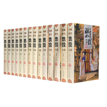 中國曆代禁毀小說（全14冊 精裝） pdf epub mobi 下载
