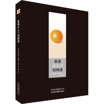 素描从入门到精通 pdf epub mobi 下载