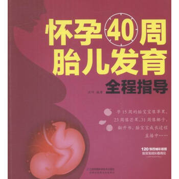 怀孕40周胎儿发育全程指导 pdf epub mobi 下载
